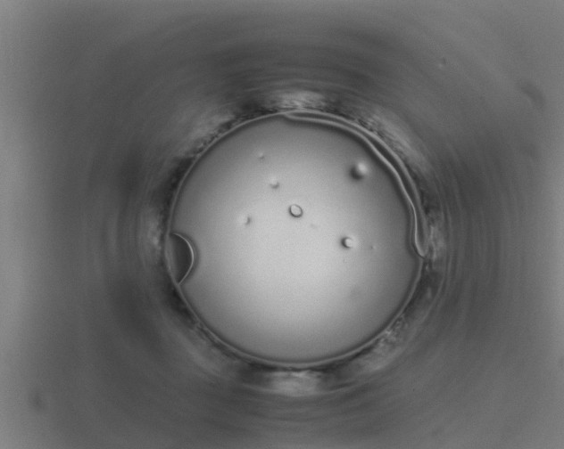 X0000116840363200912241233