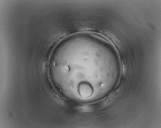 X0000116840365200912241233