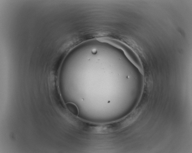 X0000116840366200912241233