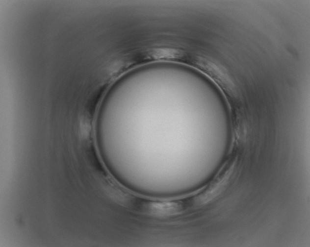 X0000116840367200912241233