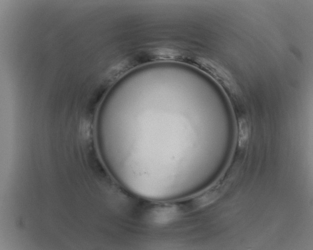 X0000116840369200912241233