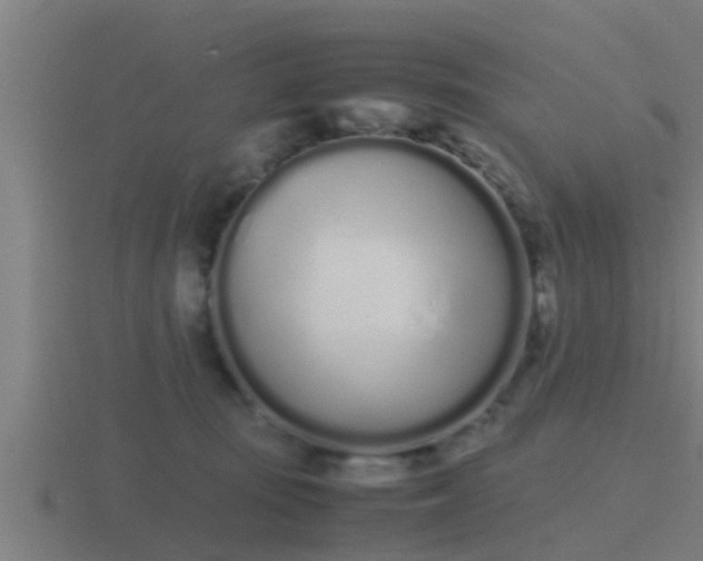 X0000116840371200912241233