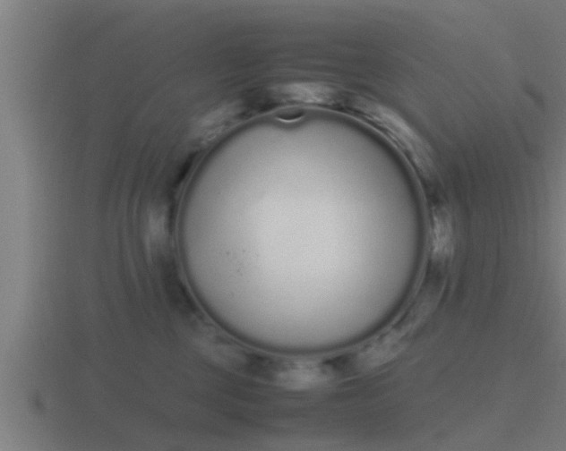 X0000116840377200912241233