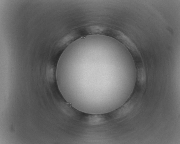 X0000116840378200912241233