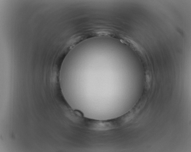 X0000116840379200912241233