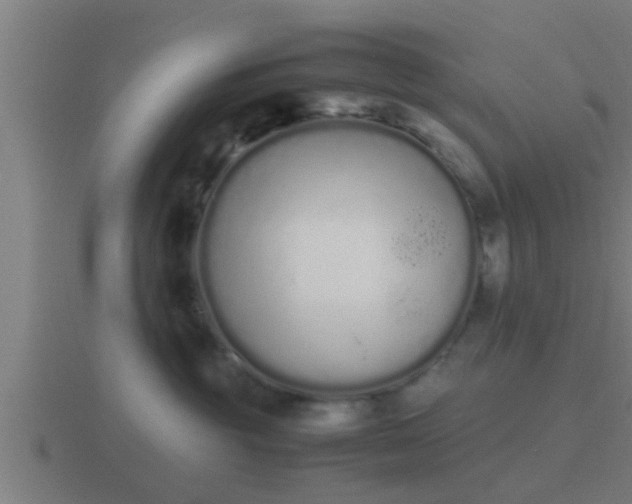 X0000116840381200912241233