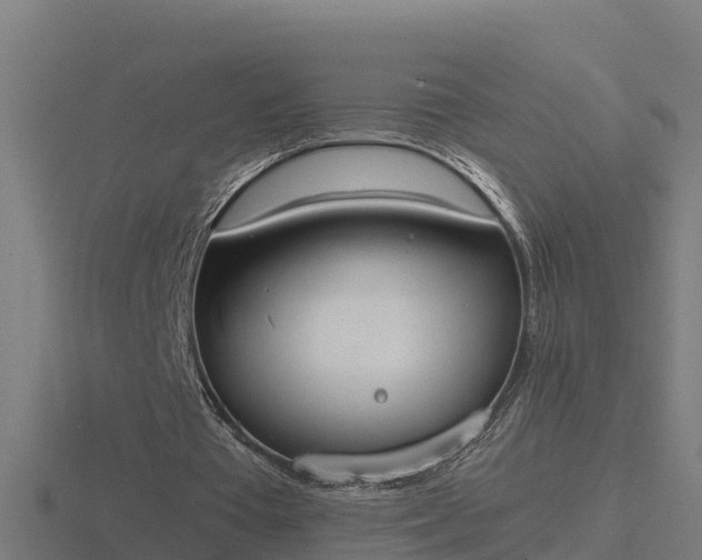 X0000116840385200912241232