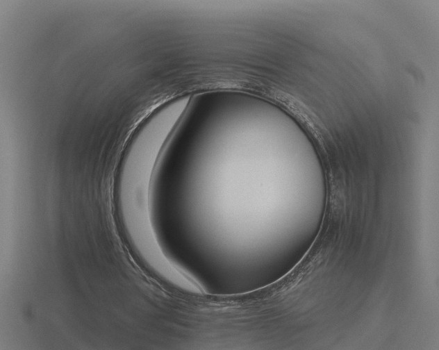 X0000116840386200912241232