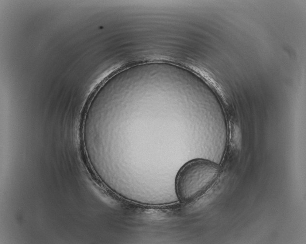 X0000116840390200912241232