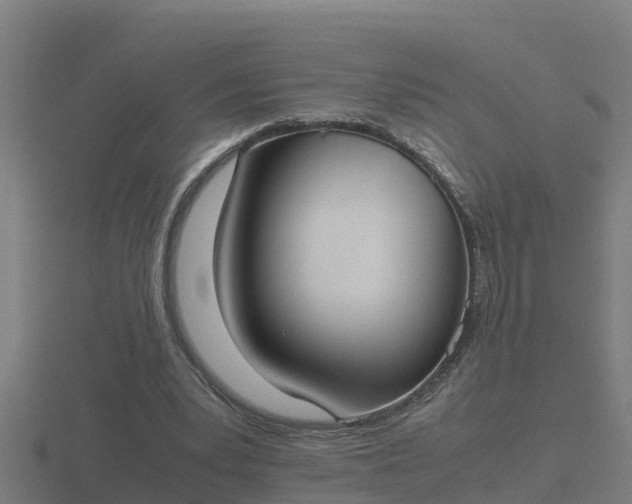 X0000116840391200912241232