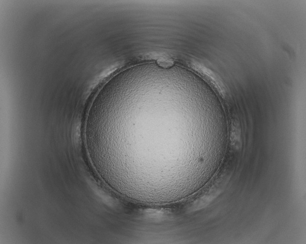 X0000116840394200912241232