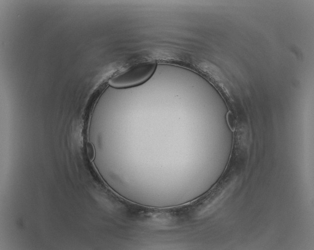 X0000116840395200912241232