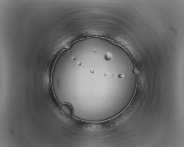 X0000116840398200912241232