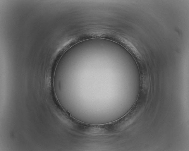 X0000116840399200912241232