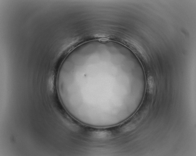 X0000116840404200912241232