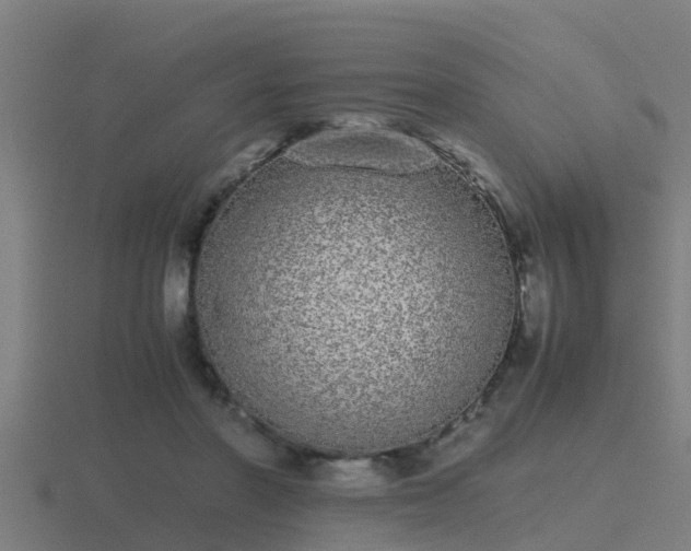 X0000116840406200912241232