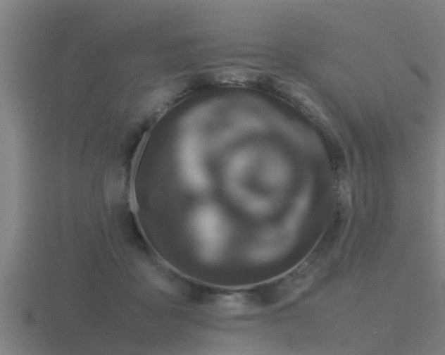 X0000116840411200912241232