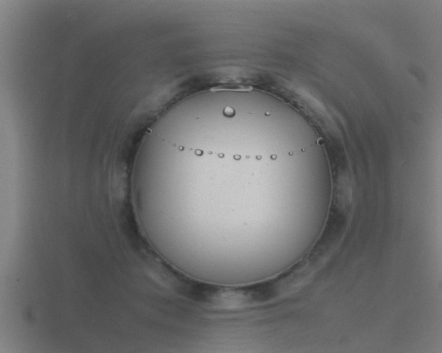 X0000116840413200912241232