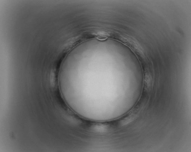 X0000116840416200912241232