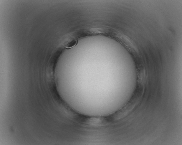 X0000116840418200912241232