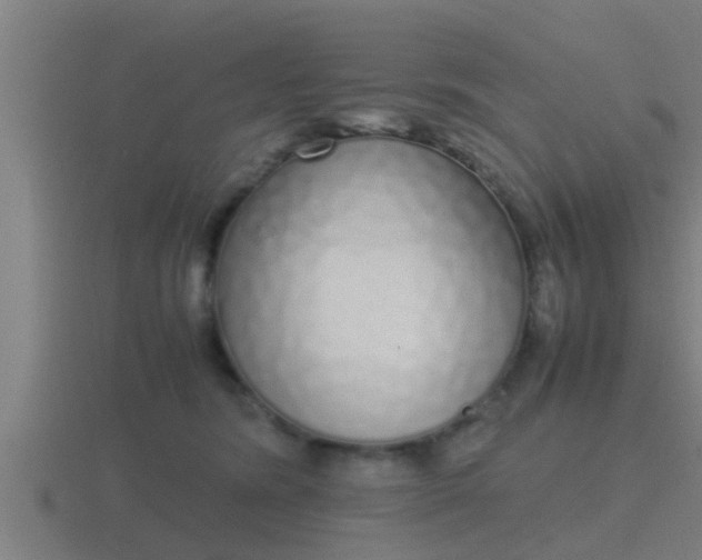 X0000116840420200912241232