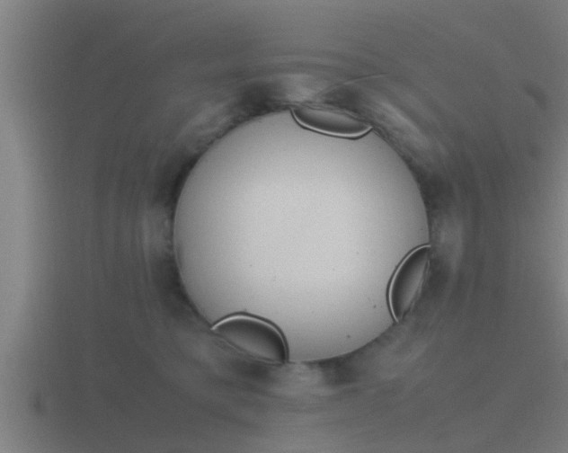 X0000116840421200912241232