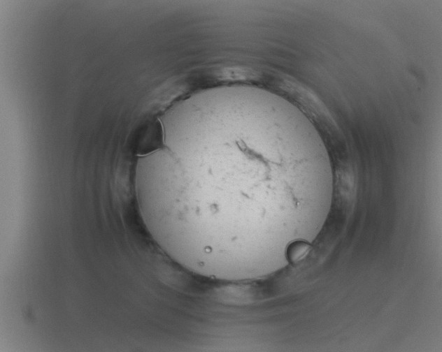 X0000116840422200912241232