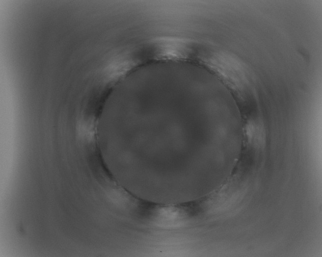 X0000116840423200912241232