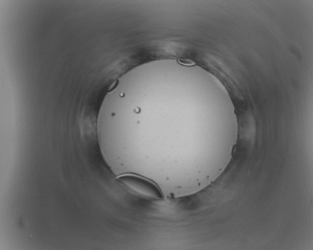 X0000116840425200912241232