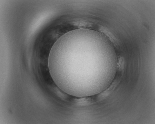 X0000116840430200912241232