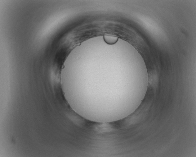 X0000116840431200912241232