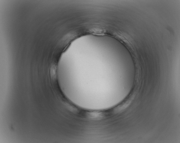 X0000116840432200912241232