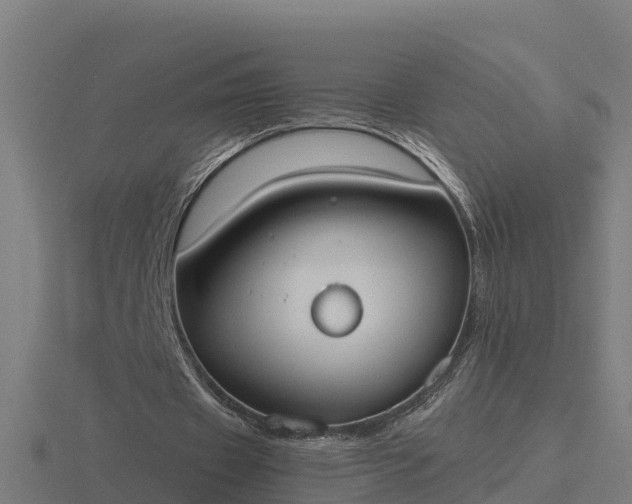 X0000116840433200912241231