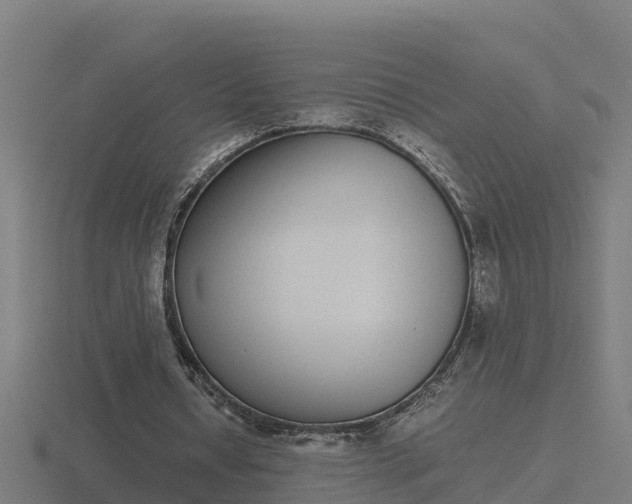 X0000116840434200912241231