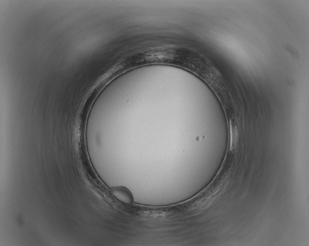 X0000116840435200912241231