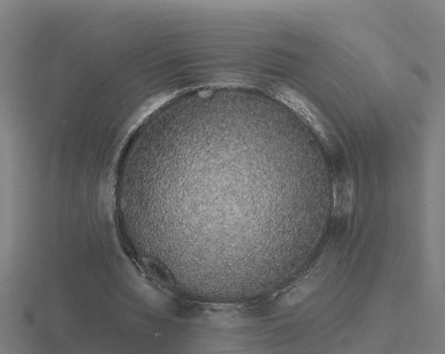 X0000116840436200912241231