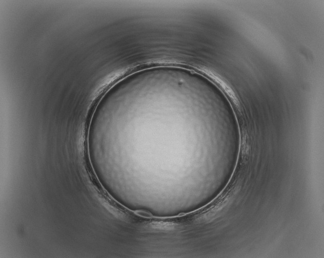 X0000116840437200912241231