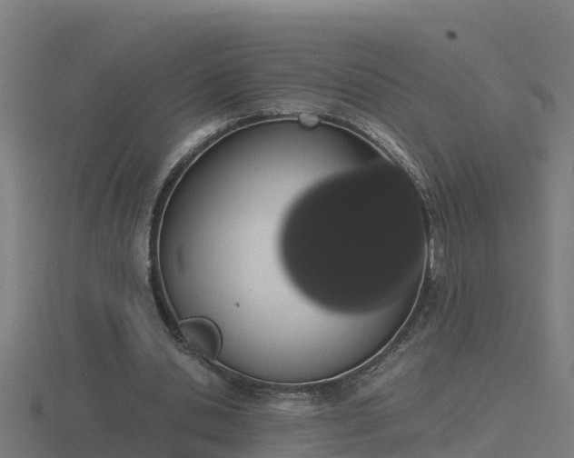 X0000116840438200912241231