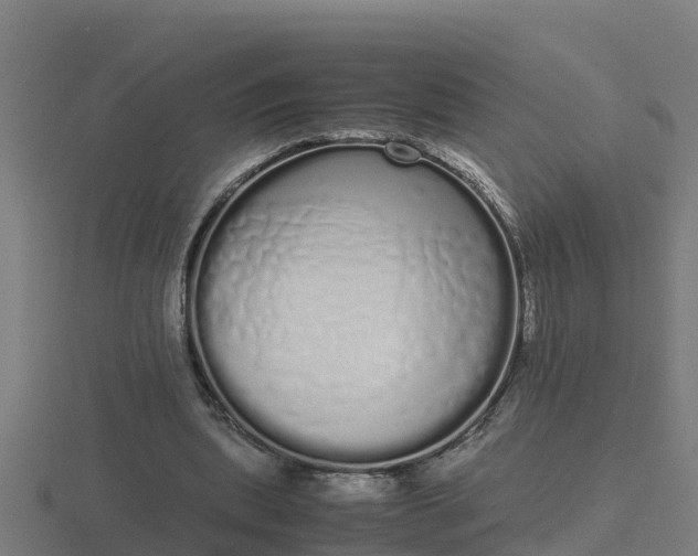 X0000116840439200912241231