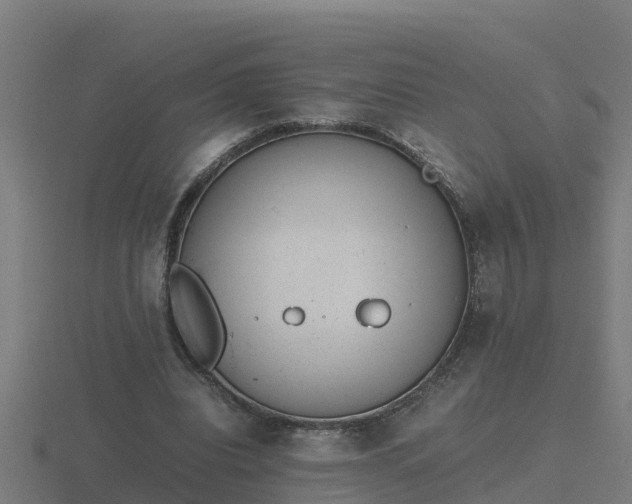 X0000116840440200912241231