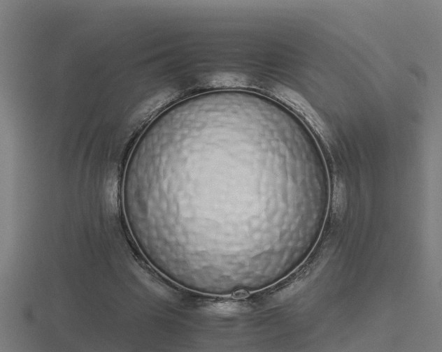 X0000116840441200912241231