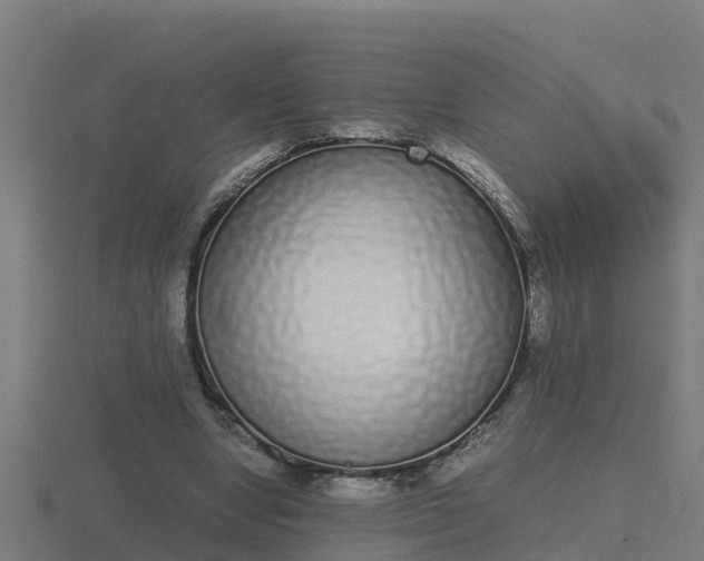 X0000116840442200912241231