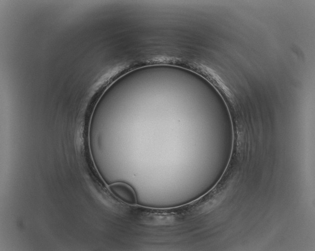 X0000116840443200912241231