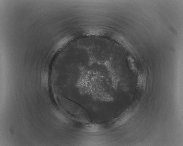 X0000116840444200912241231