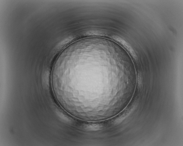 X0000116840445200912241231