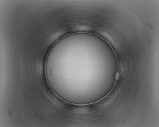 X0000116840447200912241231