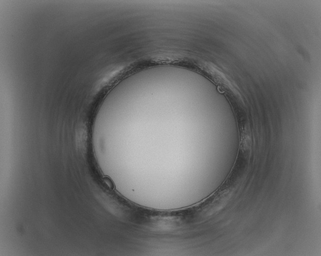 X0000116840448200912241231