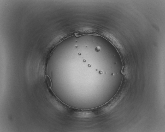 X0000116840449200912241231