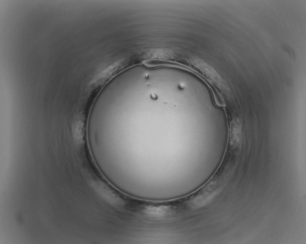 X0000116840450200912241231