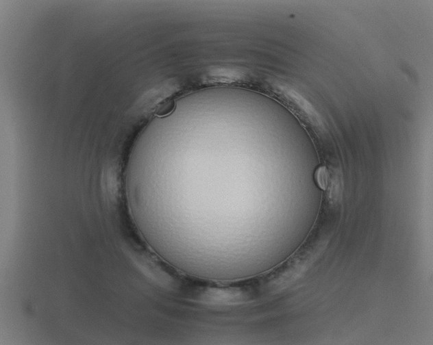 X0000116840455200912241232